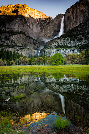 Spring Reflections