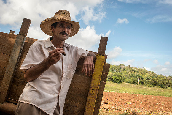 Cigar Country